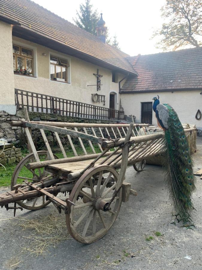 Chalupa Gretl Pohorsko Buitenkant foto