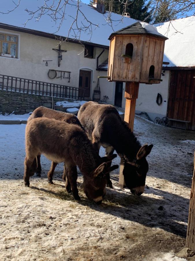 Chalupa Gretl Pohorsko Buitenkant foto