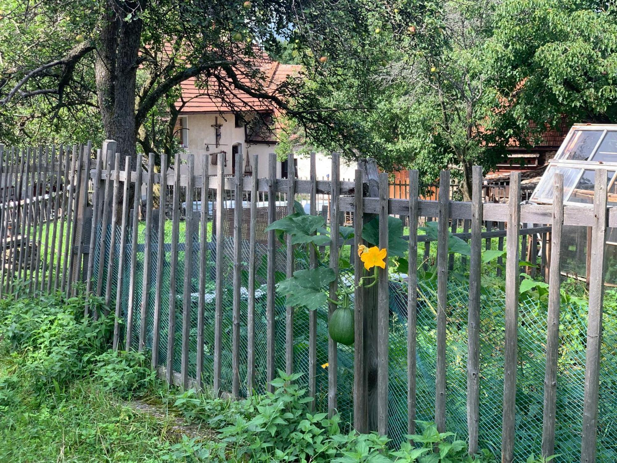 Chalupa Gretl Pohorsko Buitenkant foto