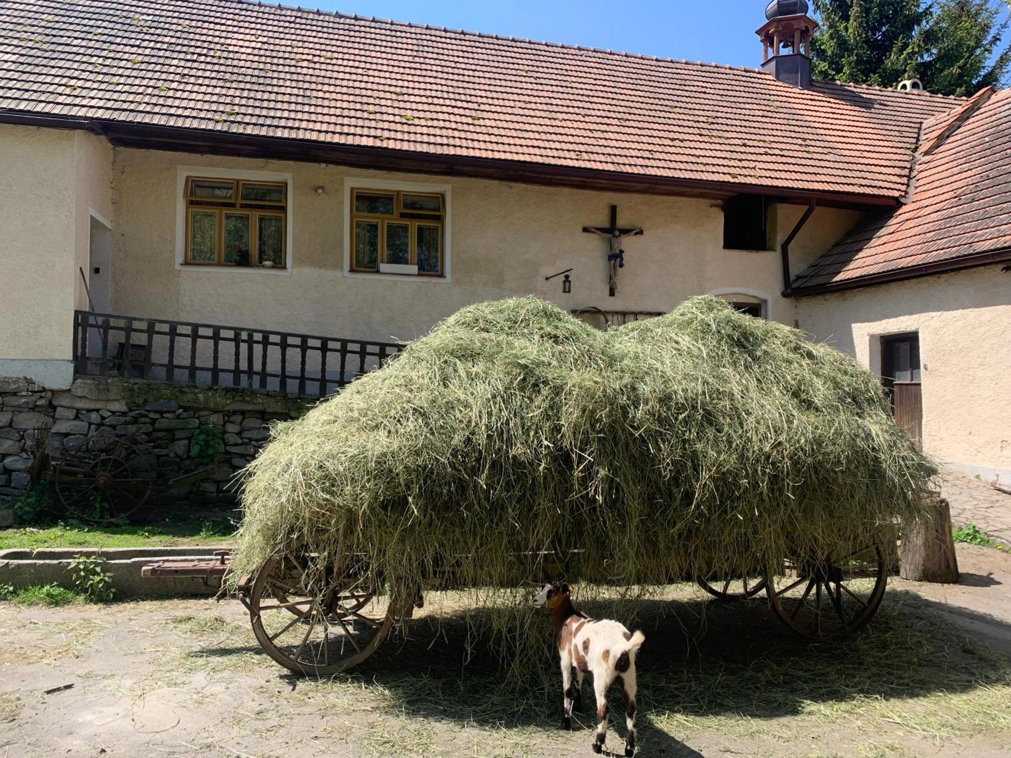 Chalupa Gretl Pohorsko Buitenkant foto