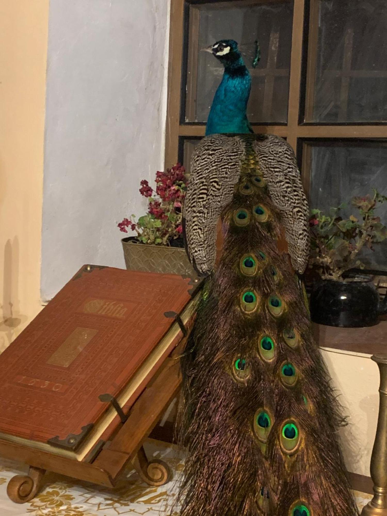 Chalupa Gretl Pohorsko Buitenkant foto
